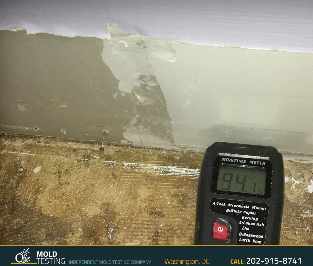 o2 Mold Testing | Mold Testing Washington O2 Mold Testing