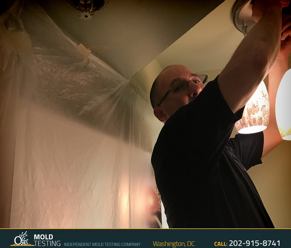 o2 Mold Testing | Mold Testing Washington O2 Mold Testing