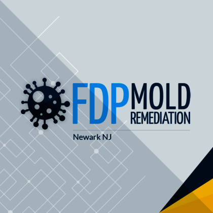 LogoFDP Mold Remediation - Anonymous