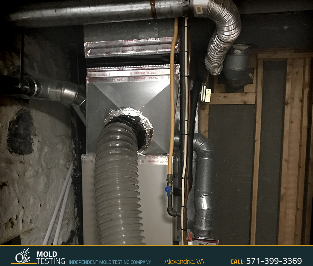 O2 Mold Testing | Mold Testing Alexandria Mold Testing | Mold Testing Alexandria
