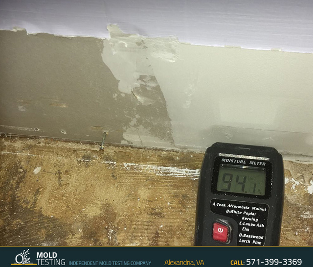 O2 Mold Testing | Mold Testing Alexandria Mold Testing | Mold Testing Alexandria