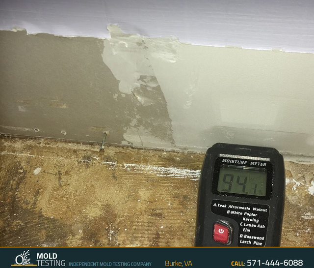 O2 Mold Testing | Mold Testing Burke Mold Testing | Mold Inspection and Testing Burke