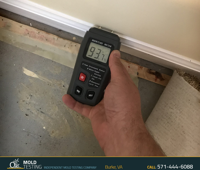 O2 Mold Testing | Mold Testing Burke Mold Testing | Mold Inspection and Testing Burke
