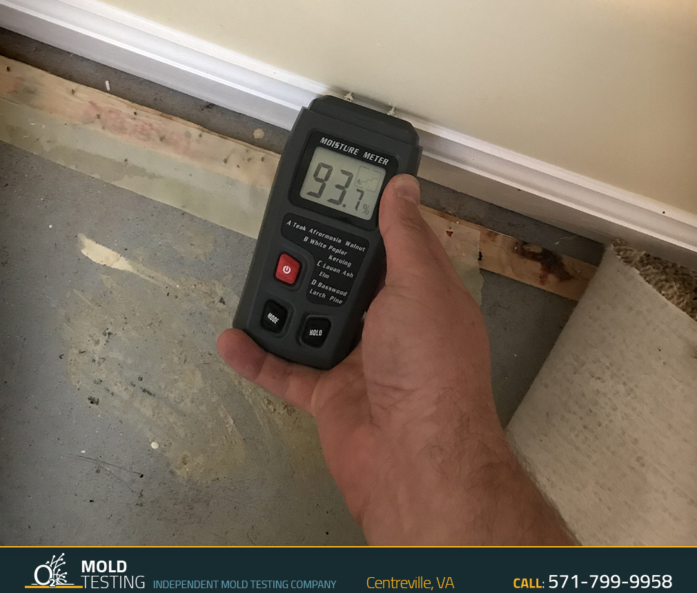 O2 Mold Testing | Mold Testing Centreville Mold Testing | Mold Testing Centreville