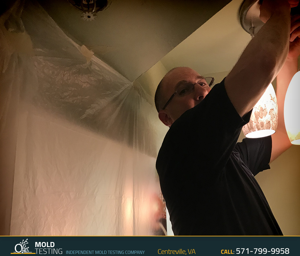 O2 Mold Testing | Mold Testing Centreville Mold Testing | Mold Testing Centreville