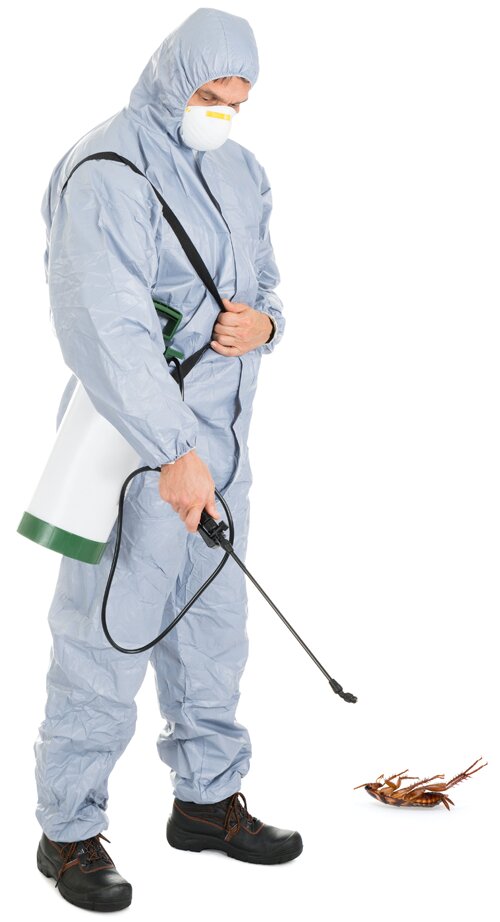 pest control Pest Control