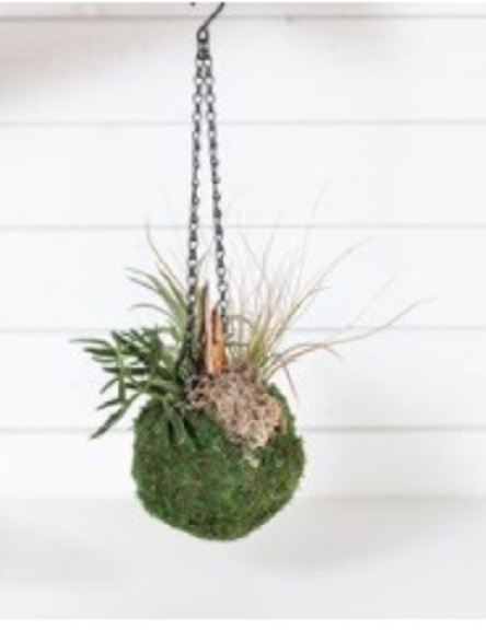 Flower Delivery Cheney WA Flower delivery in Cheney, WA