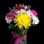 Same Day Flower Delivery Ce... - Florist in Central Point, OR