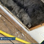 USA Clean Master | Carpet C... - USA Clean Master | Carpet Cleaning Boston