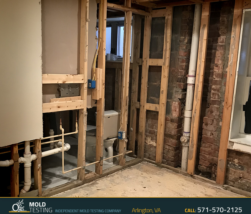 O2 Mold Testing| Mold Testing Arlington Mold Testing | Mold Testing Arlington