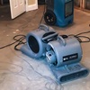 Tulip Carpet Cleaning Odenton - Tulip Carpet Cleaning Odent...