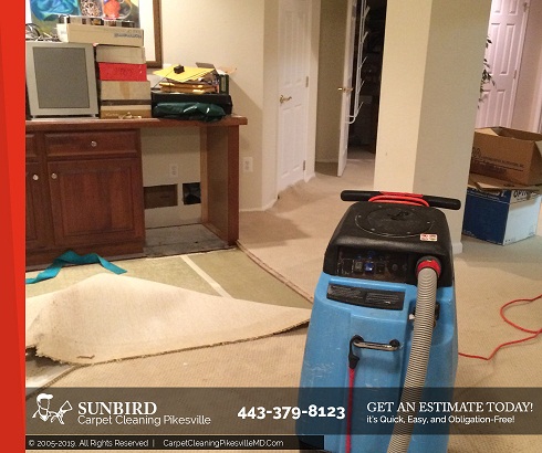 Sunbird Carpet Cleaning Pikesville | Carpet Cleani Sunbird Carpet Cleaning Pikesville | Carpet Cleaning Pikesville
