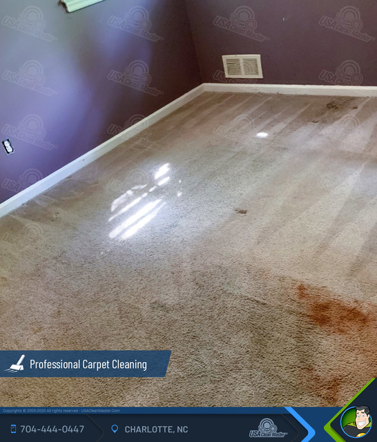 USA Clean Master | Carpet Cleaning Services Charlo USA Clean Master | Carpet Cleaning Charlotte