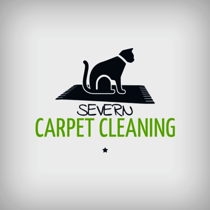 ProfileSevernCarpetCleaning - Anonymous