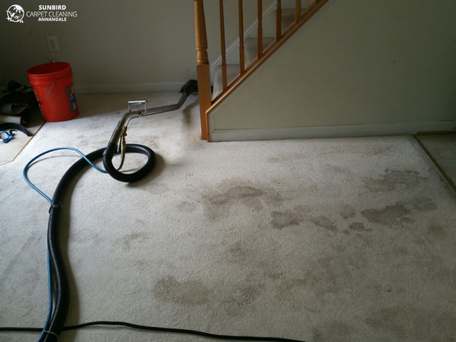 Sunbird Carpet Cleaning Annandale | Carpet Cleaner Sunbird Carpet Cleaning Annandale | Carpet Cleaning Annandale