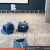 Tulip Carpet Cleaning Aspen... - Tulip Carpet Cleaning Aspen...