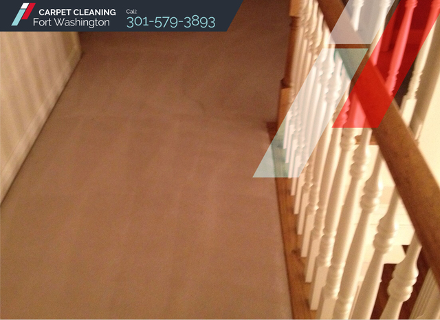 Carpet Cleaning Fort Washington | Carpet Cleaning Carpet Cleaning Fort Washington | Carpet Cleaners
