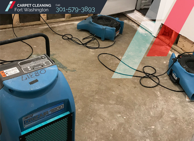 Carpet Cleaning Fort Washington | Carpet Cleaning Carpet Cleaning Fort Washington | Carpet Cleaners