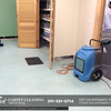 Carpet Cleaning Gaithersburg | Carpet Cleaning