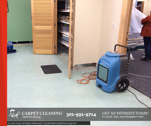 Carpet Cleaning Gaithersburg | Carpet Cleaners Carpet Cleaning Gaithersburg | Carpet Cleaning