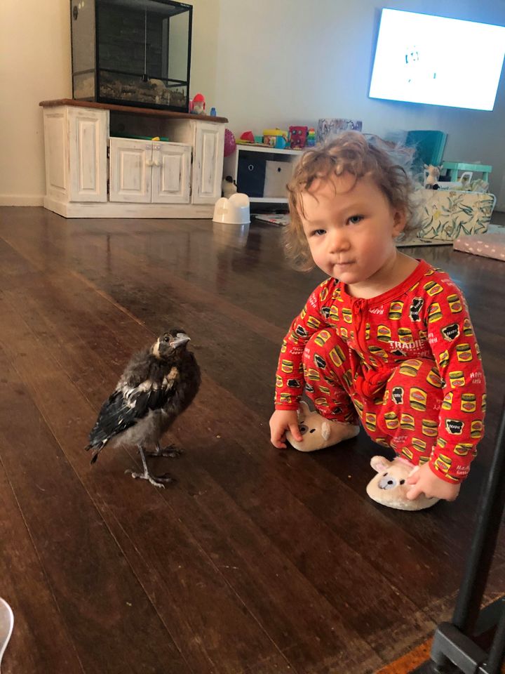 124023320 800256014148651 4148026594717862935 n - 