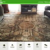 Hippo Carpet Cleaning Chantilly | Carpet Cleaning Chantilly