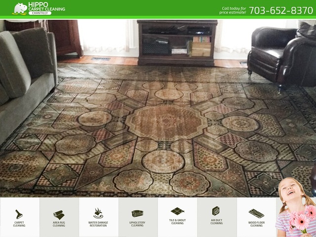 Hippo Carpet Cleaning Chantilly | Carpet Cleaning  Hippo Carpet Cleaning Chantilly | Carpet Cleaning Chantilly