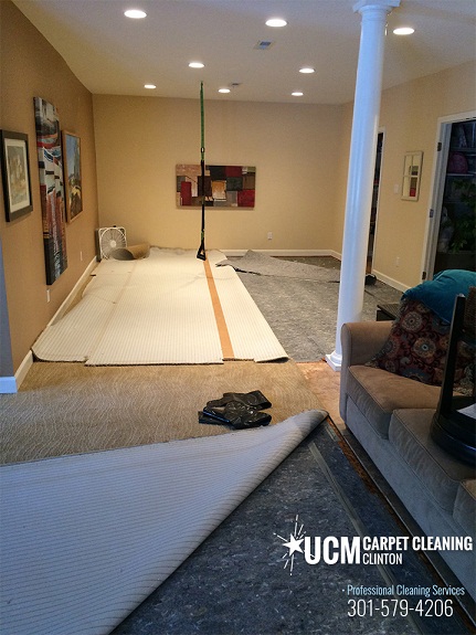 UCM Carpet Cleaning Clinton | Carpet Cleaners Clin UCM Carpet Cleaning Clinton | Carpet Cleaning Clinton
