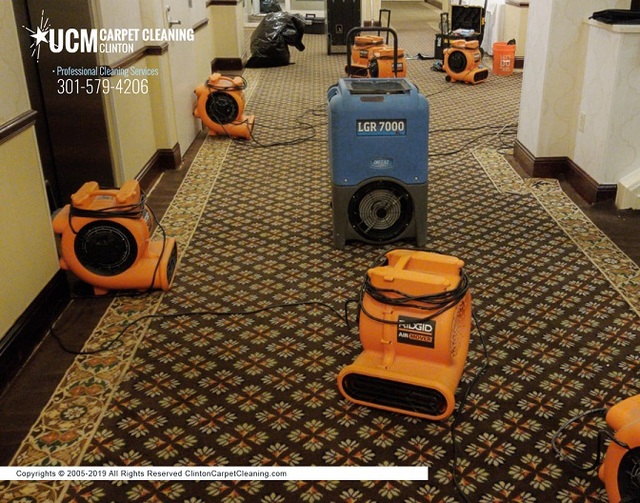 UCM Carpet Cleaning Clinton | Carpet Cleaners Clin UCM Carpet Cleaning Clinton | Carpet Cleaning Clinton