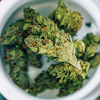 Buy Cannabis Online BC - buyweedonline