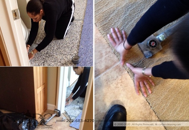 DC Carpet Cleaning | Carpet Cleaning Washington DC Carpet Cleaning | Carpet Cleaning Washington