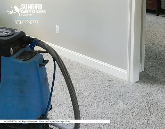 Sunbird Carpet Cleaning Paterson | Carpet Cleaning Sunbird Carpet Cleaning Paterson | Carpet Cleaning Paterson