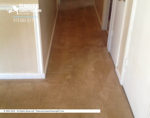 Sunbird Carpet Cleaning Paterson | Carpet Cleaning Sunbird Carpet Cleaning Paterson | Carpet Cleaning Paterson