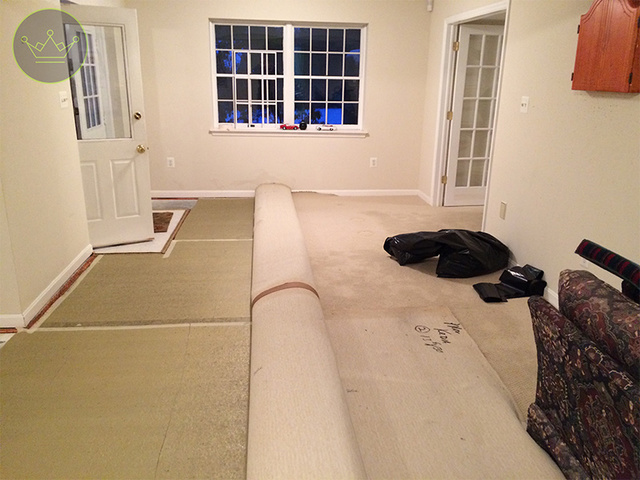 Plainfield Carpet Cleaning NJ | Carpet Cleaning Plainfield Carpet Cleaning NJ | Carpet Cleaning Plainfield