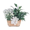 Flower Delivery in Fort Pie... - Florist in Fort Pierce, FL