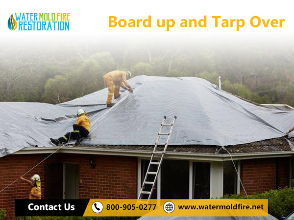 Water Mold Fire Restoration of Miami Water Mold Fire Restoration of Miami