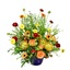 Flower Delivery West Melbou... - Flower delivery in West Melbourne