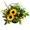 Flower Shop in West Melbour... - Flower delivery in West Mel...