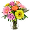 Sympathy Flowers West Melbo... - Flower delivery in West Mel...