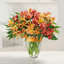 Thanksgiving Flowers Seabro... - Florist in Seabrook, NH