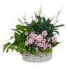 Funeral Flowers Kennett Squ... - Flower Delivery in Kennett ...