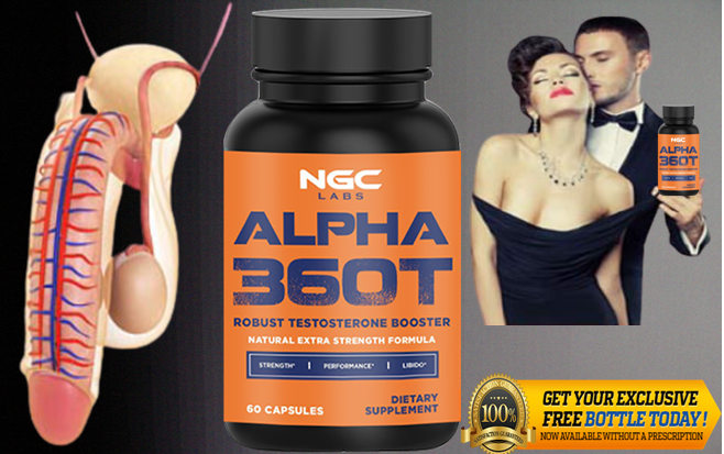 000 https://sites.google.com/view/alpha360t/home