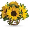 Flower Delivery in Amherst NY - Florist in Amherst, NY