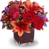 Flower Shop in Amherst NY - Florist in Amherst, NY