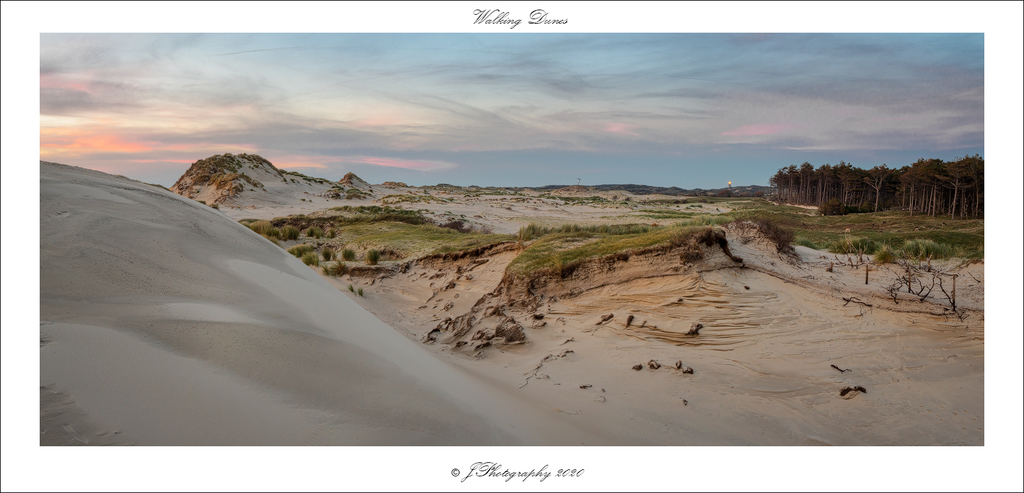 DSC 0792 Walking Dunes BD - 