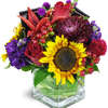 Send Flowers Lewes DE - Florist in Lewes, DE
