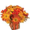 Get Flowers Delivered Lanca... - Flower Delivery in Lancaste...