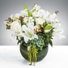 Get Flowers Delivered Sprin... - Florist in Spring Park, MN