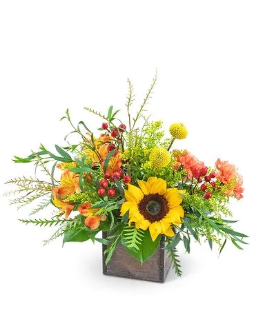 Get Flowers Delivered Arlington VA Flower Delivery in Arlington, VA