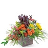Same Day Flower Delivery Ar... - Flower Delivery in Arlingto...